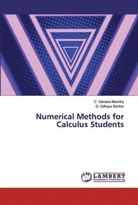 bokomslag Numerical Methods for Calculus Students