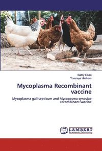 bokomslag Mycoplasma Recombinant vaccine