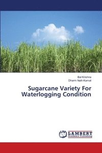 bokomslag Sugarcane Variety For Waterlogging Condition