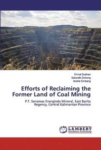 bokomslag Efforts of Reclaiming the Former Land of Coal Mining