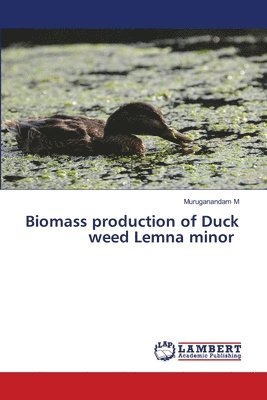 bokomslag Biomass production of Duck weed Lemna minor