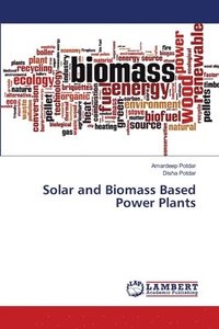 bokomslag Solar and Biomass Based Power Plants