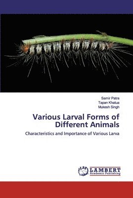 Various Larval Forms of Different Animals 1