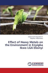 bokomslag Effect of Heavy Metals on the Environment in Enyigba Ikwo LGA Ebonyi