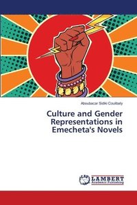bokomslag Culture and Gender Representations in Emecheta's Novels