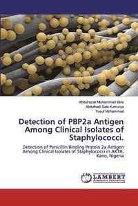 bokomslag Detection of PBP2a Antigen Among Clinical Isolates of Staphylococci.