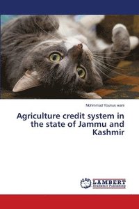 bokomslag Agriculture credit system in the state of Jammu and Kashmir