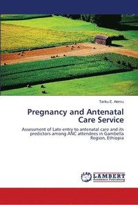 bokomslag Pregnancy and Antenatal Care Service