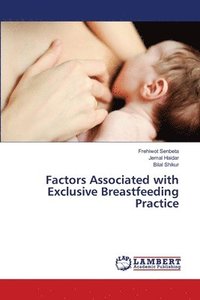 bokomslag Factors Associated with Exclusive Breastfeeding Practice