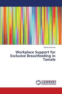 bokomslag Workplace Support for Exclusive Breastfeeding in Tamale