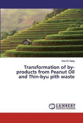 Transformation of by-products from Peanut Oil and Thin-byu pith waste 1
