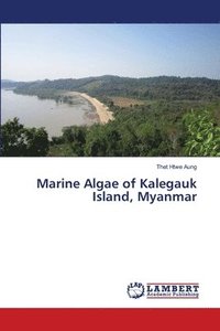 bokomslag Marine Algae of Kalegauk Island, Myanmar
