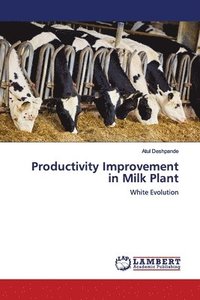 bokomslag Productivity Improvement in Milk Plant