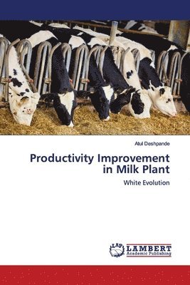 bokomslag Productivity Improvement in Milk Plant