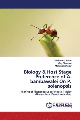 Biology & Host Stage Preference of A. bambawalei On P. solenopsis 1