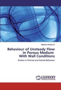bokomslag Behaviour of Unsteady Flow In Porous Medium With Wall Conditions