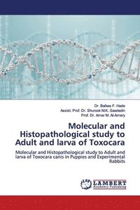 bokomslag Molecular and Histopathological study to Adult and larva of Toxocara