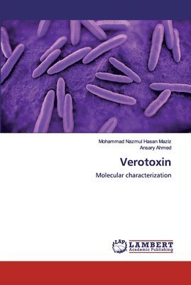 Verotoxin 1