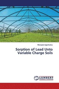 bokomslag Sorption of Lead Unto Variable Charge Soils