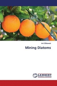 bokomslag Mining Diatoms