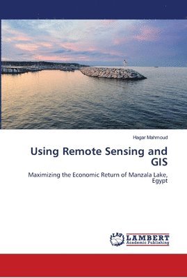 bokomslag Using Remote Sensing and GIS