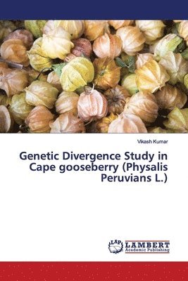 Vikash Kumar - Genetic Divergence Study in Cape gooseberry (Physalis Peruvians L.), Häftad