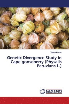 bokomslag Genetic Divergence Study in Cape gooseberry (Physalis Peruvians L.)