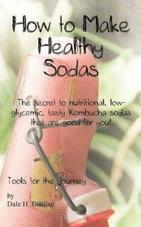 bokomslag How to Make Healthy Sodas: The secret to nutritional, low-glycemic, tasty Kombucha sodas that are good for you!