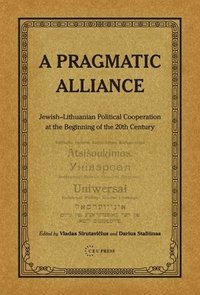 bokomslag A Pragmatic Alliance
