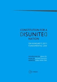 bokomslag Constitution for a Disunited Nation