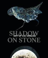 bokomslag Shadow on Stone