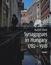 bokomslag Synagogues in Hungary 1782-1918