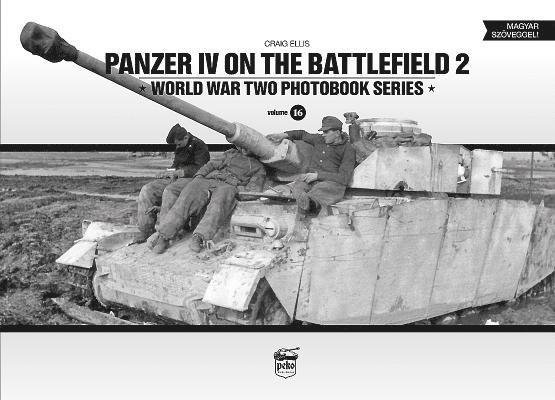 Panzer IV on the Battlefield 2 1