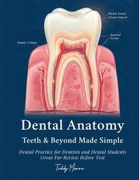 bokomslag Dental Anatomy Teeth & Beyond Made Simple: Dental Practice for Dentists and Dental Students Great For Review Before Test