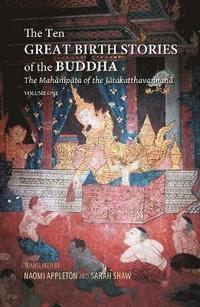 bokomslag The Ten Great Birth Stories of the Buddha
