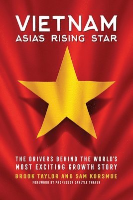 bokomslag Vietnam: Asia's Rising Star