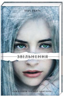 Teri Terry - Shattered, Inbunden