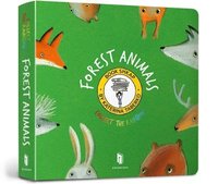 bokomslag Forest Animals