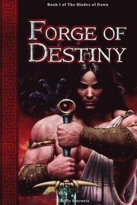 bokomslag Forge of Destiny