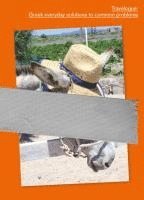 bokomslag Travelogue: Greek everyday solutions to common problems