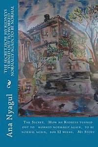 The Secret.How my Kidneys turned out to worked normally again, to be normal: The Secret. How my Kidneys turned out to worked normally again, to be nor 1
