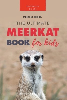 bokomslag Meerkats