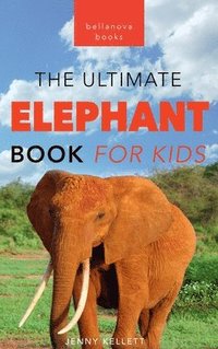 bokomslag Elephants