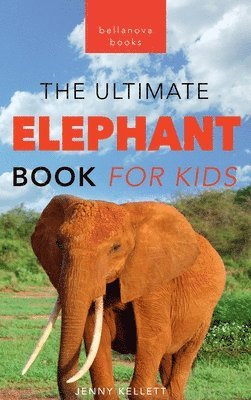 bokomslag Elephants