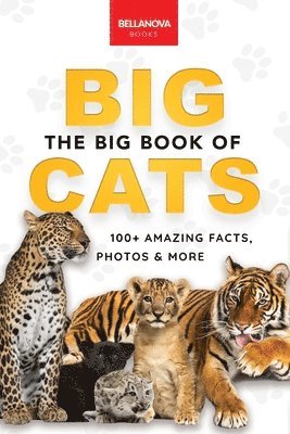 bokomslag Big Book of Big Cats