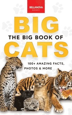 bokomslag Big Book of Big Cats