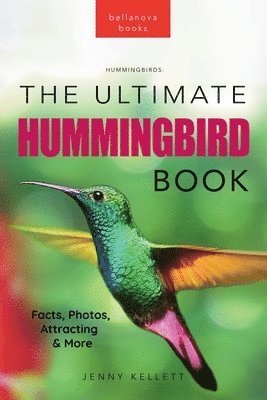 Jenny Kellett - Hummingbirds the Ultimate Hummingbird Book, Häftad