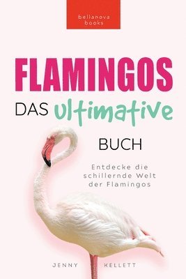Flamingos Das Ultimative Buch