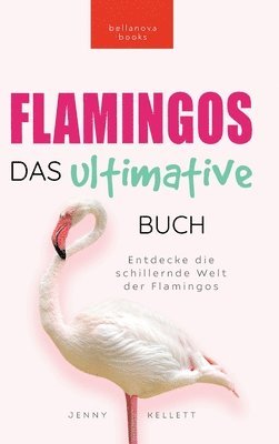Jenny Kellett - Flamingos Das Ultimative Buch, Inbunden