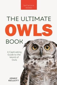 bokomslag Owls The Ultimate Book